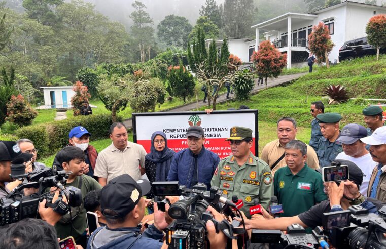 Bentuk Penanggulangan Bencana, Pemerintah Tindak Tegas Pelanggar Kesesuaian Pemanfaatan Ruang
