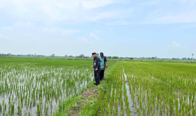 Hari kedua Pendataan Awal Lokasi Rencana Pembangunan SUTT 150 kV Pati-Pati II/Trangkil pada 15 Mei 2025