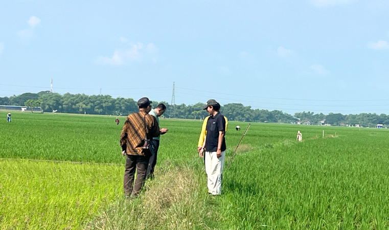 Hari ketiga Pendataan Awal Lokasi Rencana Pembangunan SUTT 150 kV Pati-Pati II/Trangkil pada 16 Mei 2025