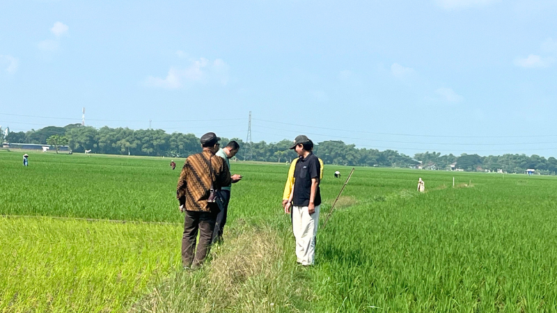 Hari ketiga Pendataan Awal Lokasi Rencana Pembangunan SUTT 150 kV Pati-Pati II/Trangkil pada 16 Mei 2025