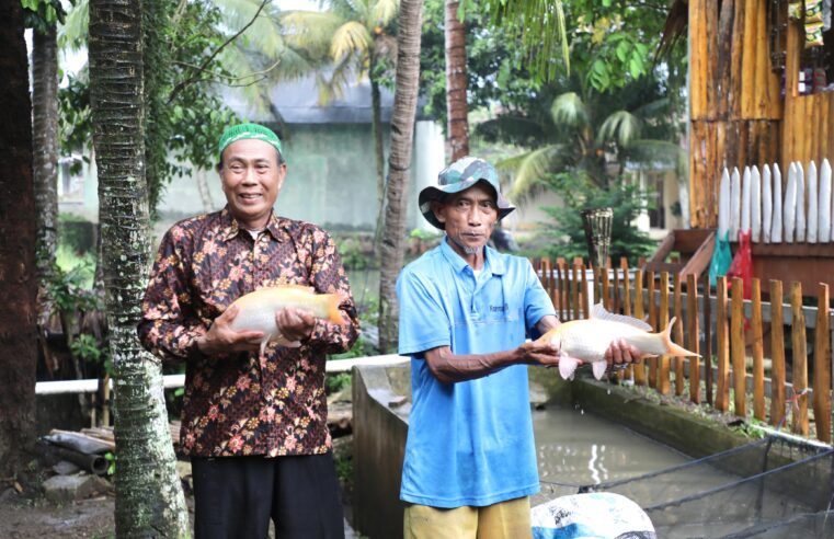 Tingkatkan Perekonomian Masyarakat, Kampung Reforma Agraria Desa Bandung Kembangkan Pembibitan dan Budidaya Ikan
