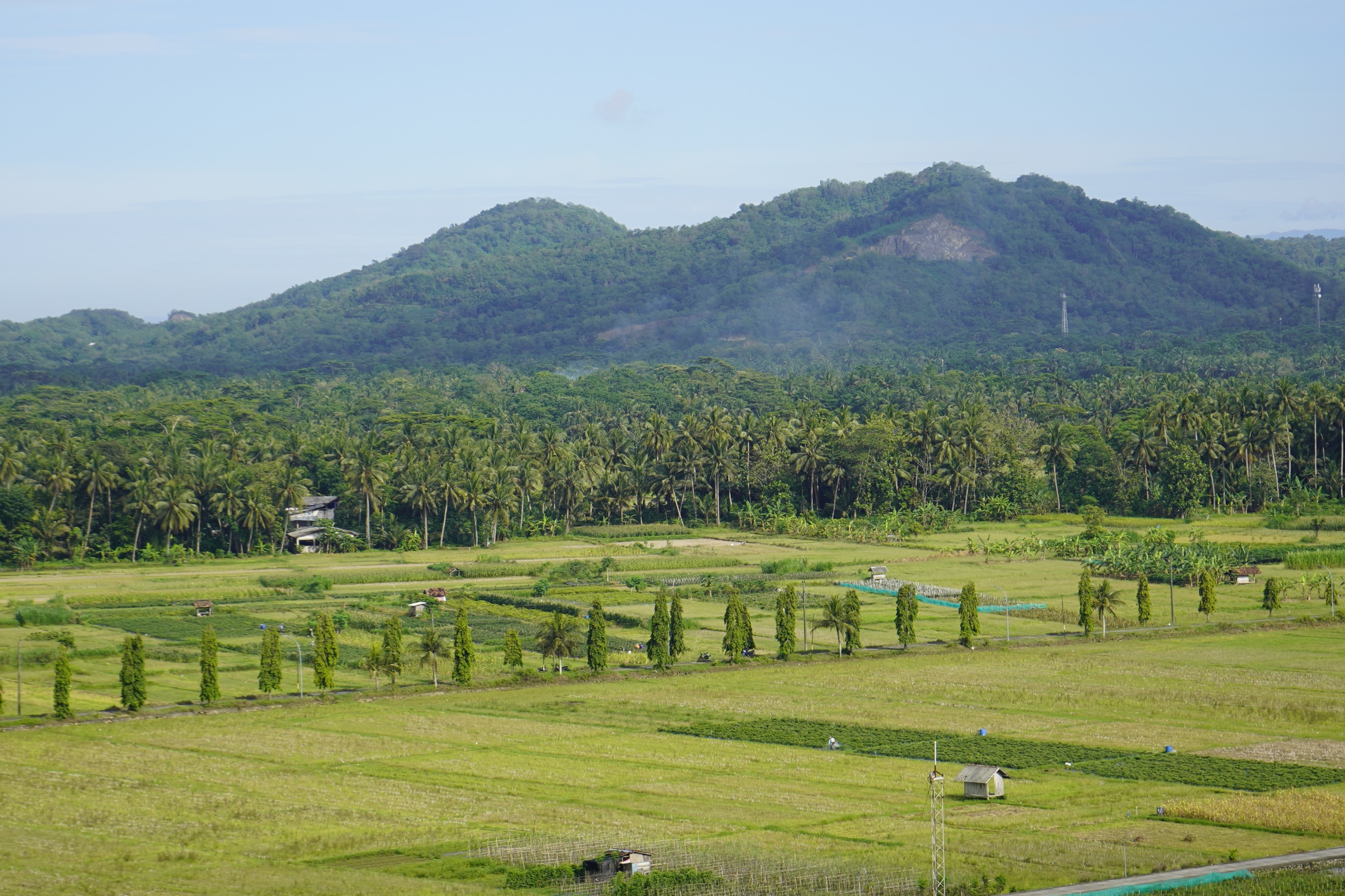 Cerita dari Desa Hargorejo, Objek Reforma Agraria yang Menumbuhkan Harapan Warga Kulon Progo