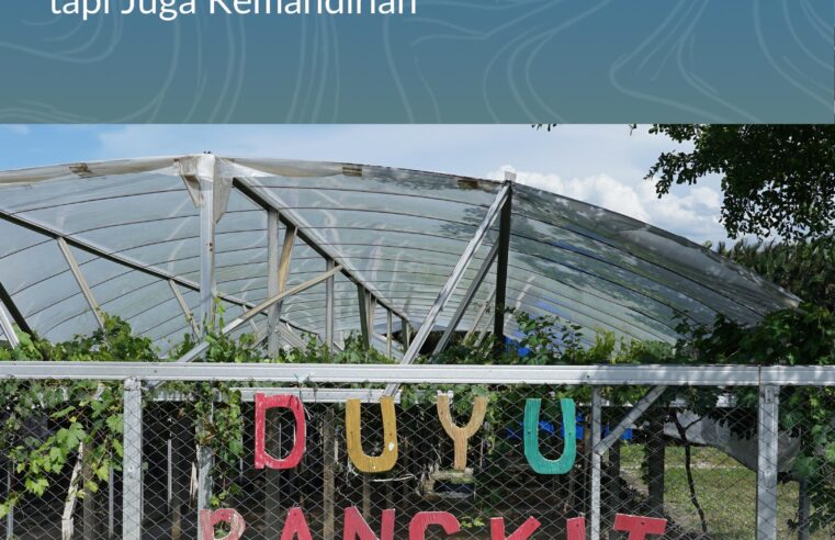 Cerita Petani Anggur Duyu Bangkit: Reforma Agraria Tak Hanya Soal Tanah, tapi Juga Kemandirian