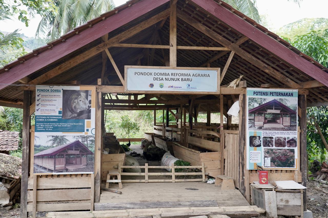 Reforma Agraria Buka Akses Warga Desa Nunuk Baru untuk Jalankan Usaha Ternak Domba