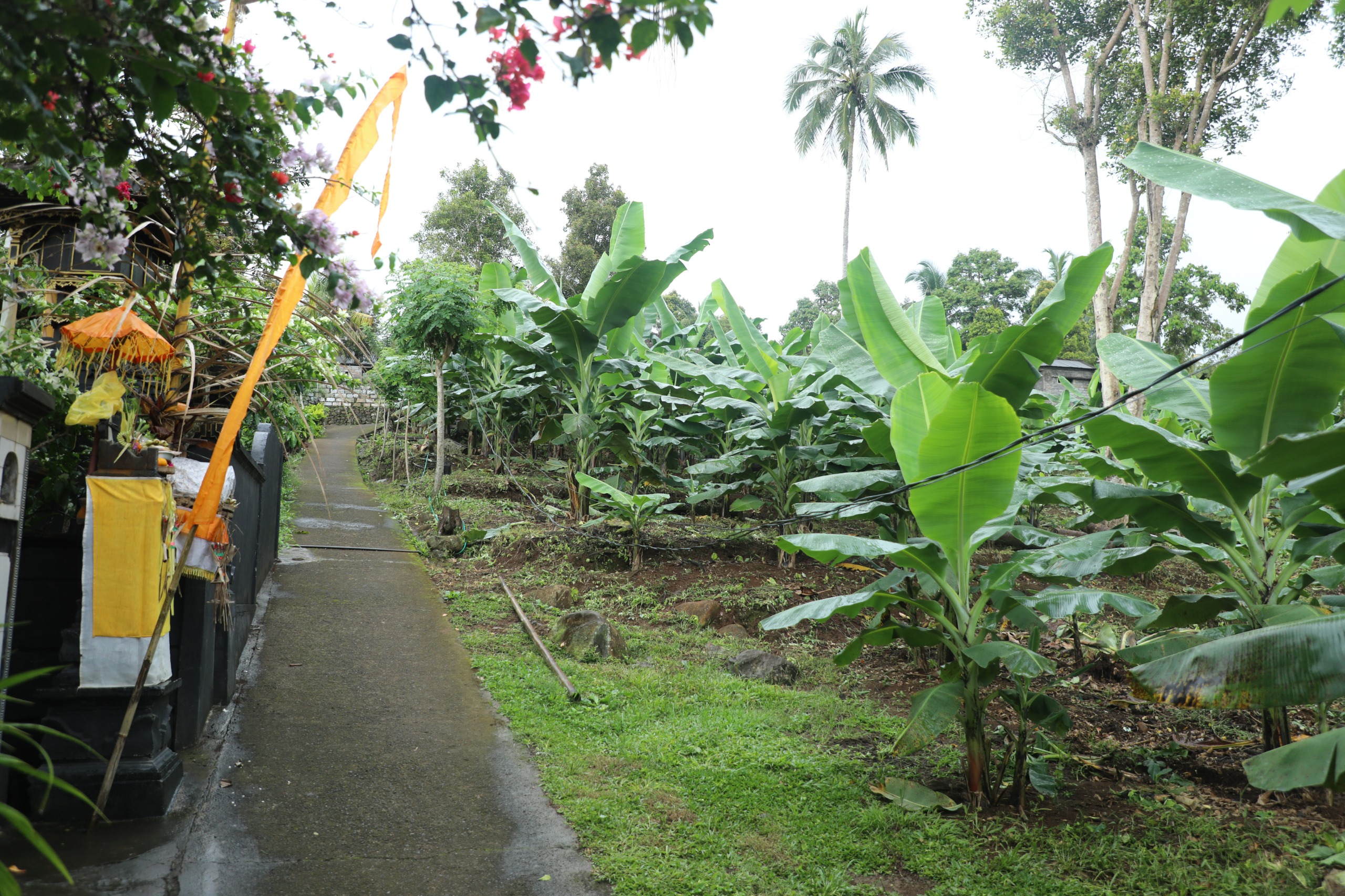 Perjalanan Reforma Agraria di Asahduren, Sertipikat Tanah Ulayat Buka Akses Ekonomi Masyarakat