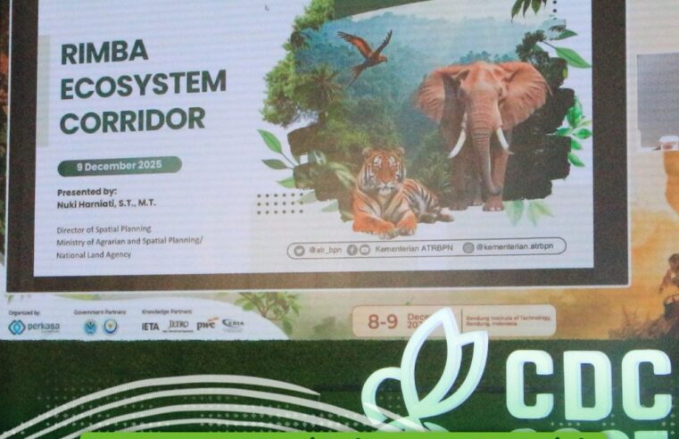 Tata Ruang Kunci Sukses FOLU Net Sink: Ditjen Tata Ruang tekankan perlindungan cadangan karbon di CDC 2025