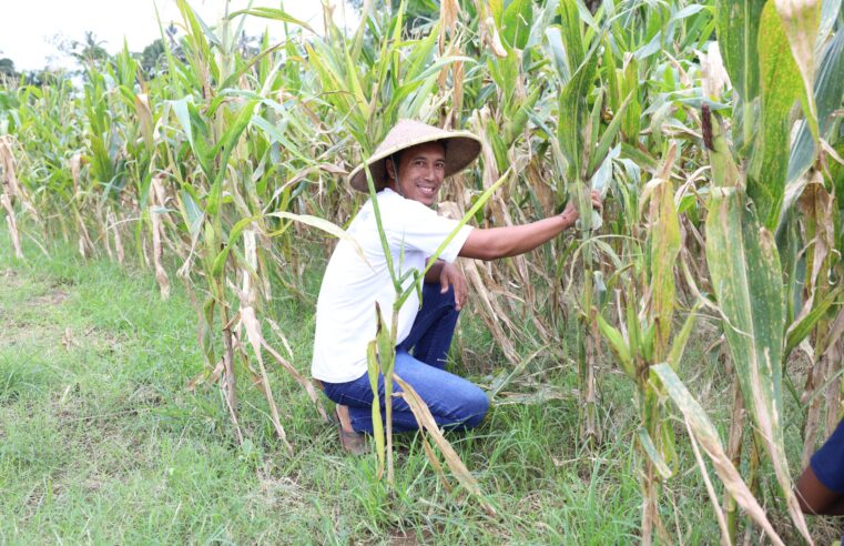 Reforma Agraria Lahirkan Regenerasi dan Kreativitas Petani Muda di Desa Soso