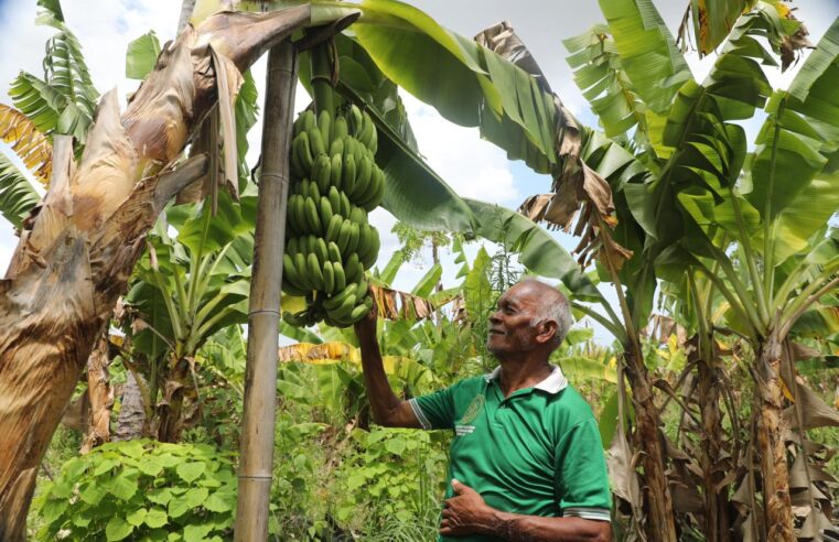 Reforma Agraria Ubah Pola Pikir Warga Desa Baumata di Kabupaten Kupang, Hasilkan Peningkatan Penghasilan Petani
