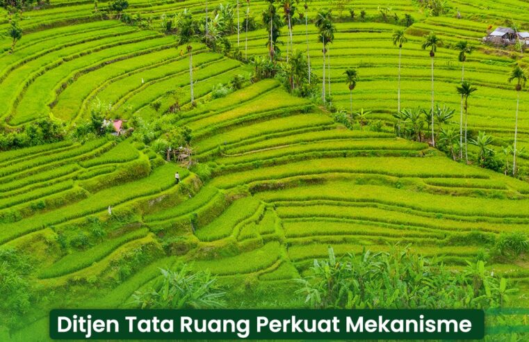Ditjen Tata Ruang perkuat mekanisme persetujuan bersama penetapan LP2B