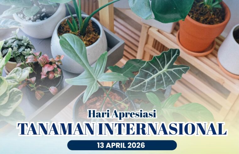 Selamat Hari Apresiasi Tanaman Internasional