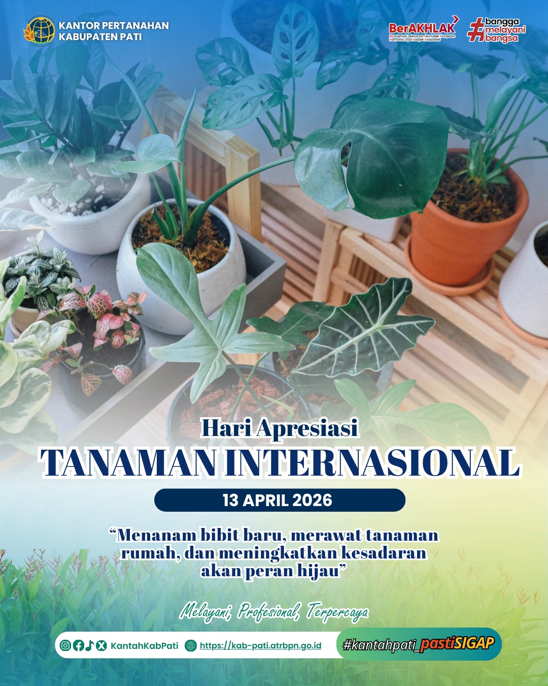 Selamat Hari Apresiasi Tanaman Internasional