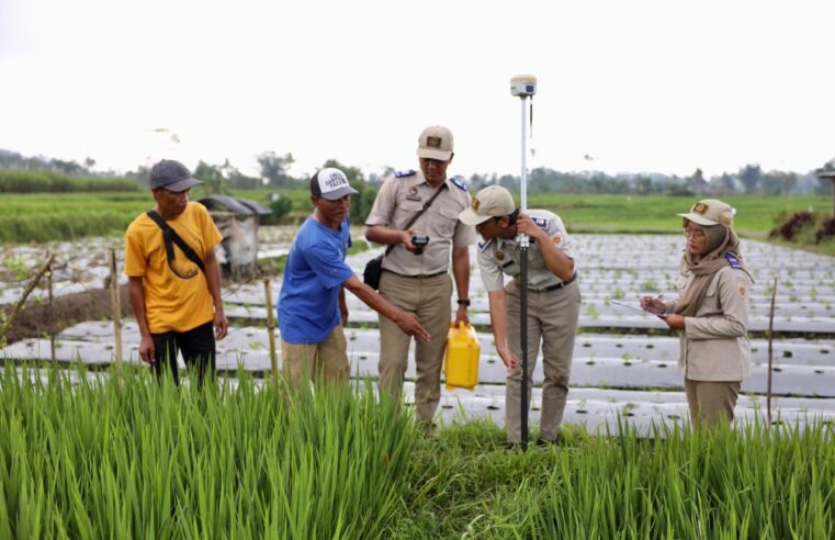 Mau Ikut PTSL? Ketahui Biaya Persiapannya yang Berlaku di Masing-Masing Wilayah