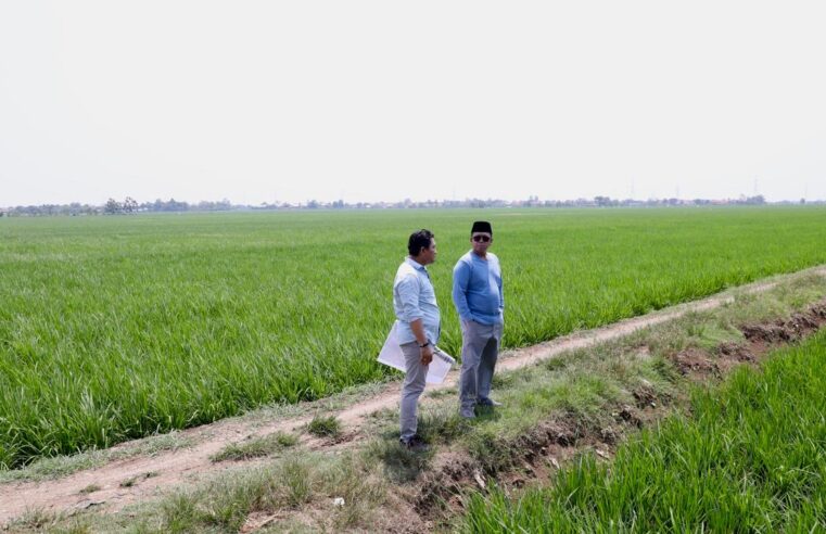 Tinjau Kawasan Industri di Indramayu, Menteri Nusron Pastikan Lahan Tidak Masuk ke LSD