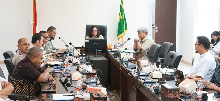 Bahas Tindak Lanjut Tora, Direktorat Jenderal Penataan Agraria Menerima Audiensi Pemerintah Kabupaten Halmahera Selatan