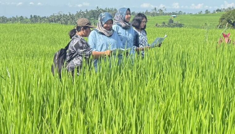 Dukung Ketahanan Pangan Direktorat Jenderal Penataan Agraria Melakukan Veridfikasi dan Validasi Neraca Penatgunaan Tanah di Provinsi Bali\