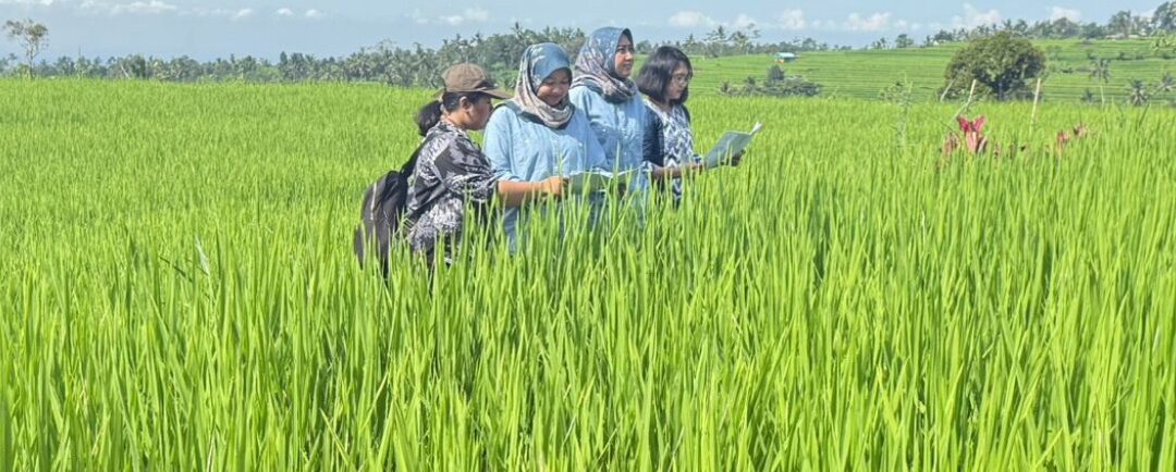 Dukung Ketahanan Pangan Direktorat Jenderal Penataan Agraria Melakukan Veridfikasi dan Validasi Neraca Penatgunaan Tanah di Provinsi Bali\