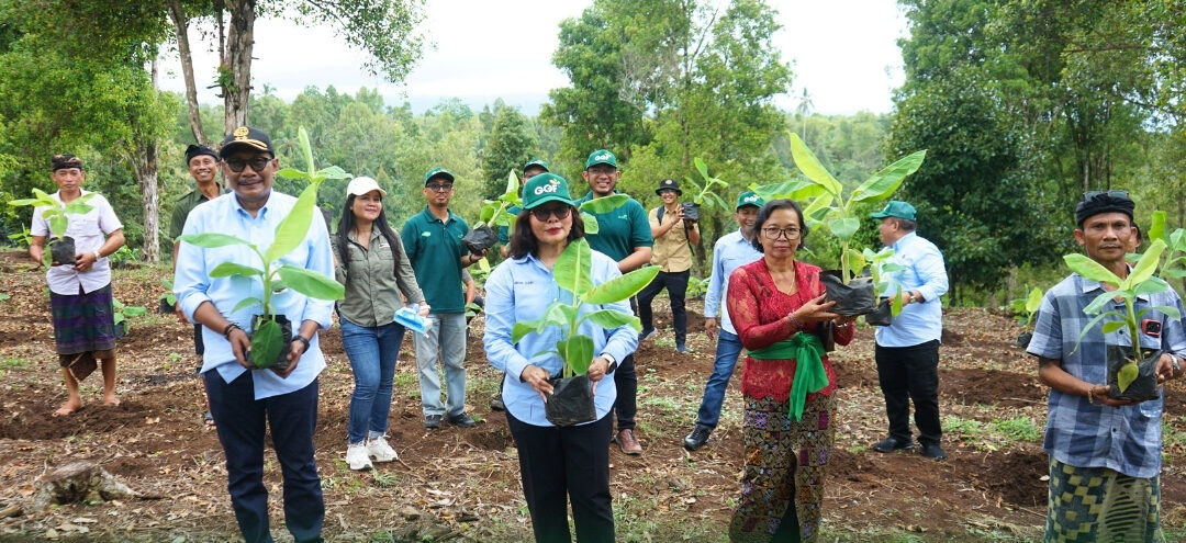 Perkuat Ketahanan Pangan Lewat Perluasan Lahan dan Penanaman Bibit di Lokasi Penataan Akses pada Tanah Peribadatan Pira di Provinsi Bali