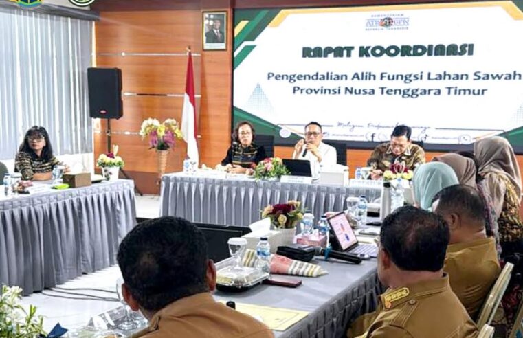 ​Dirjen PPTR Kementerian ATR/BPN Percepat Perlindungan Lahan Sawah di NTT