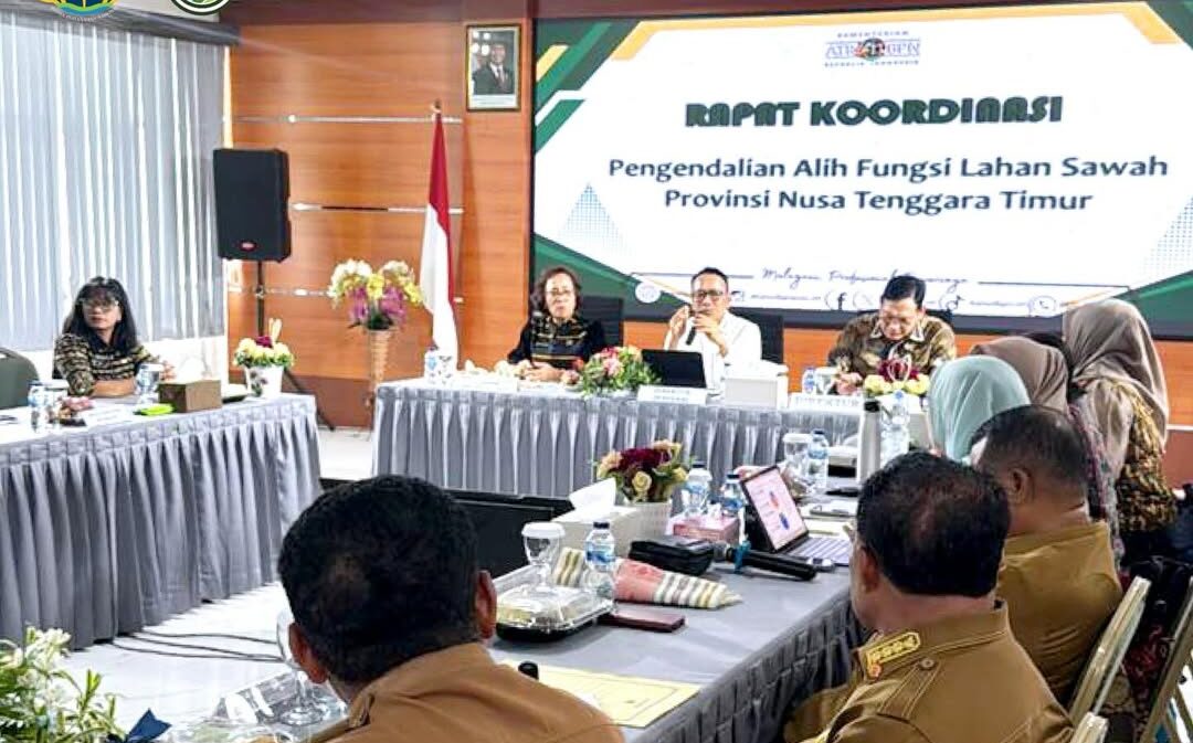 ​Dirjen PPTR Kementerian ATR/BPN Percepat Perlindungan Lahan Sawah di NTT