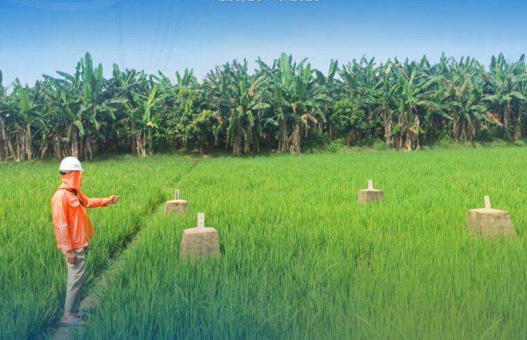 Panitia A Kantor Pertanahan Kabupaten Pati Laksanakan Pemeriksaan Lapang Permohonan PT PLN (Persero) di Desa Sidoharjo