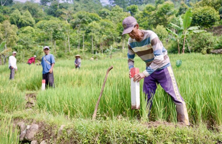 Pasang Patok, Cara Sederhana Cegah Sengketa Tanah dengan Tetangga