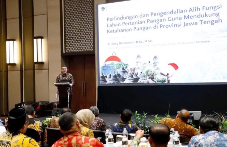 Wamen ATR/Waka BPN Ossy Dermawan, Ajak Pemerintah Daerah Terus Dorong Percepatan LP2B sebagai Fondasi Swasembada Pangan Nasional