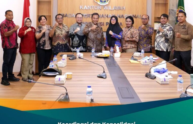 Koordinasi dan Konsolidasi Awal Pelaksanaan Kegiaan PPNS, Penataan Ruang Provinsi Papua