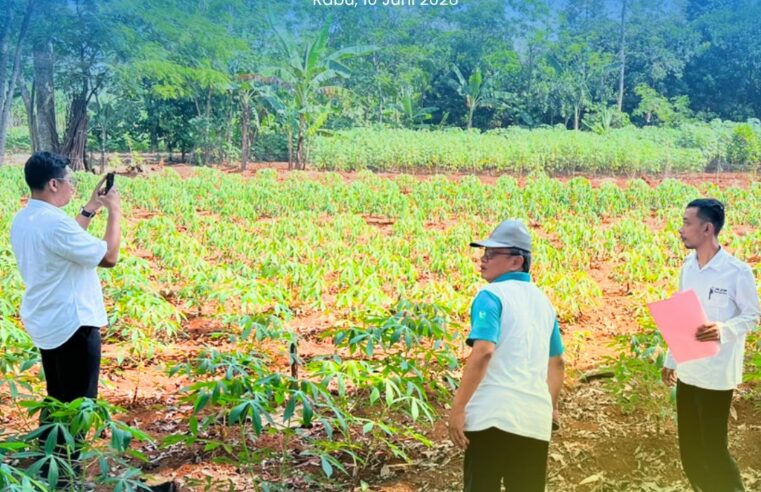 Seksi Penataan dan Pemberdayaan Kantor Pertanahan Kabupaten Pati Laksanakan Cek Lapang Permohonan PKKPR Non Berusaha di Kecamatan Gembong