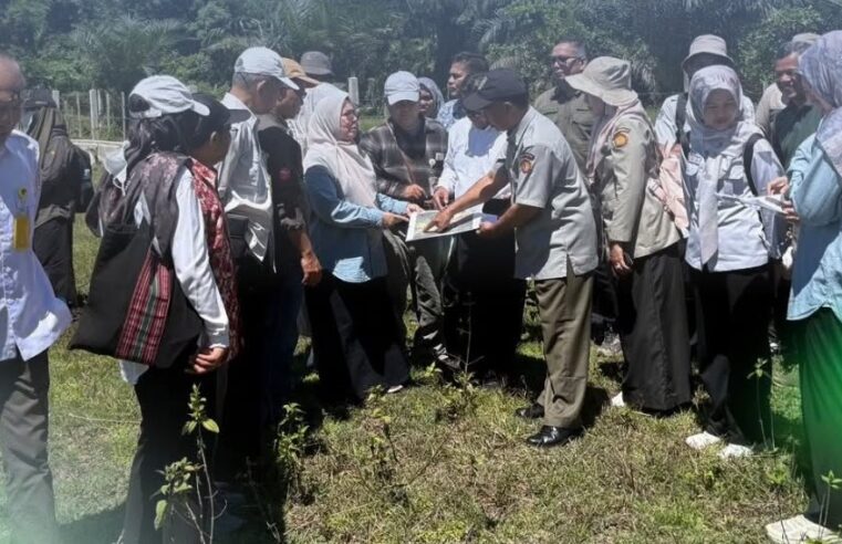 Direktorat Jenderal Penataan Agraria melalui Direktorat Penatagunaan Tanah melaksanakan Kegiatan Verifikasi dan Validasi (Verval) Data Lahan Baku Sawah (LBS) di Provinsi Riau (3-5 Juni 2026)