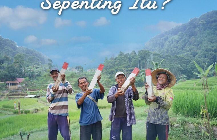 Halo #SobATRBPN! Tahukah kamu bahwa patok tanah bukan sekadar penanda biasa? Ini memiliki peran yang sangat penting untuk menunjukkan batas bidang tanah sekaligus mencegah potensi sengketa di kemudian hari.