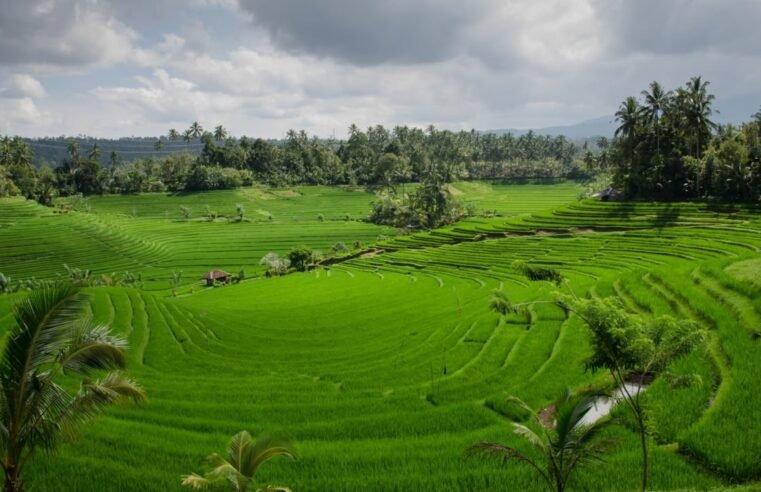 Lampaui Target, LP2B Capai 87,63% di Momen Peringatan 66 Tahun UUPA